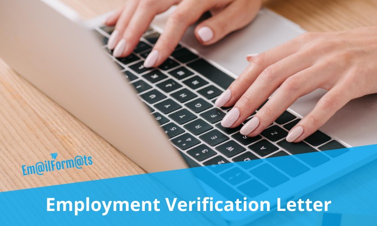 Free Sample Of Employment Verification Letter Template